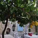 Kaktueshan 호텔 *