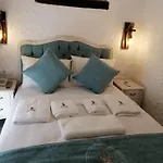 Kaktueshan *