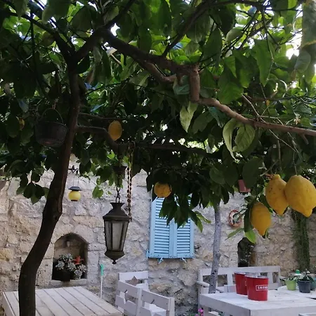 Kaktüshan Butik Otel *