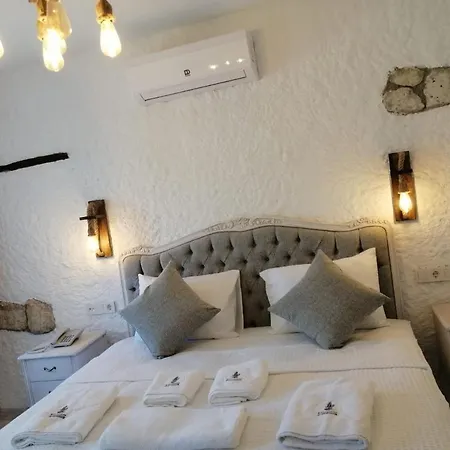 Hotel Kaktueshan