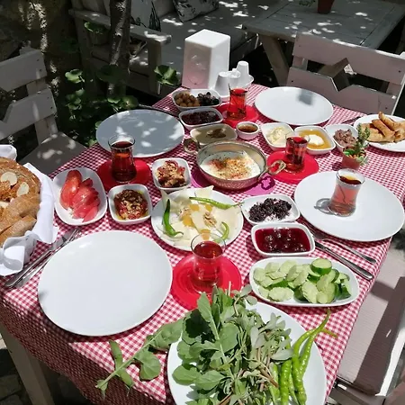 Hotel Kaktueshan *