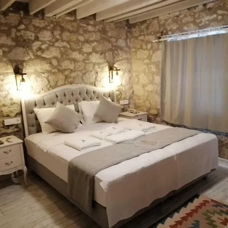 Hotel Kaktueshan *