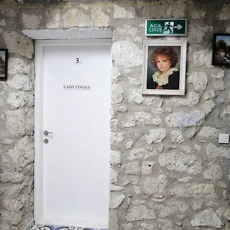 Kaktüshan Butik *