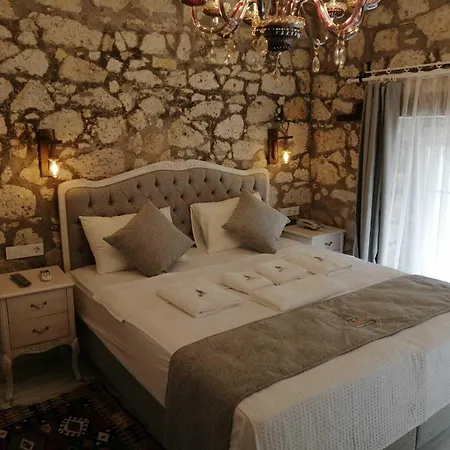Hotel Kaktueshan *