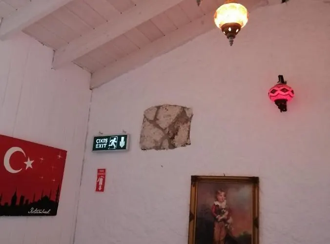 Kaktueshan 阿拉恰特