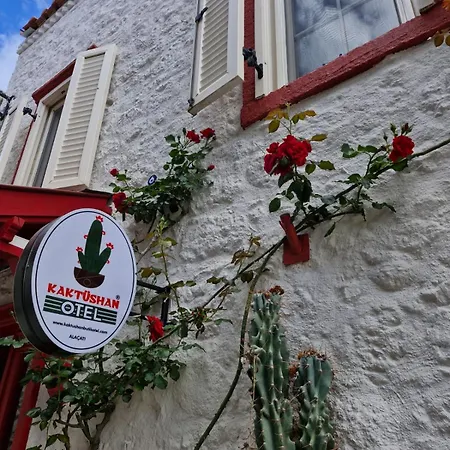 酒店 Kaktueshan 阿拉恰特